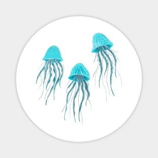 Jellyfish sea life Magnet